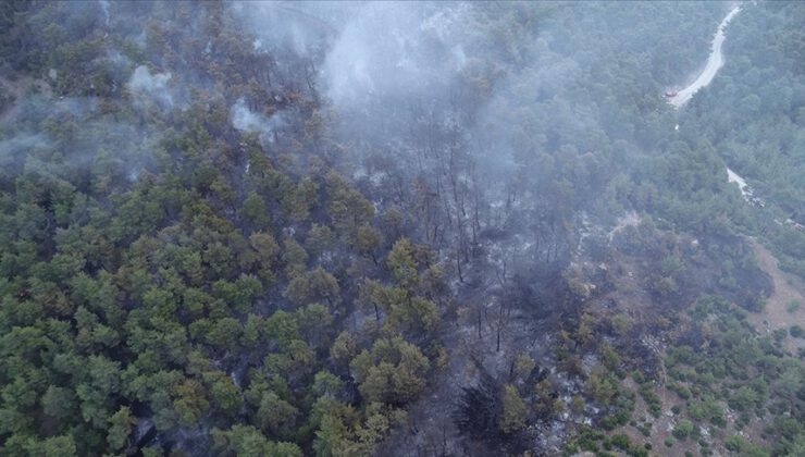 Çanakkale’deki orman yangınına müdahale ediliyor