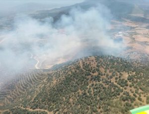 İzmir’de ormana sıçrayan yangına müdahale ediliyor