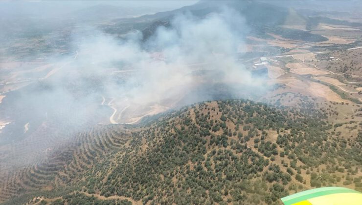 İzmir’de ormana sıçrayan yangına müdahale ediliyor