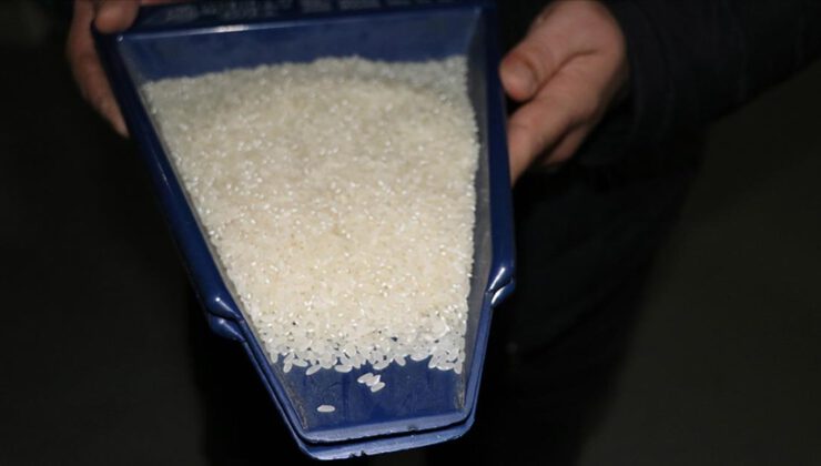 Hindistan, beyaz pirinç ihracatını yasakladı