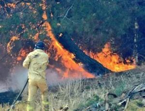 Çanakkale’deki yangın kontrol altında