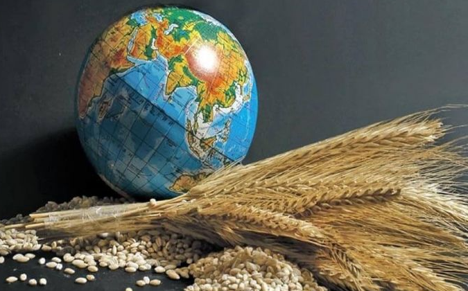 FAO: Küresel gıda fiyatları artıyor