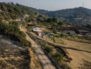 Bakan Koca: Çanakkale’deki yangından 83 kişi etkilendi