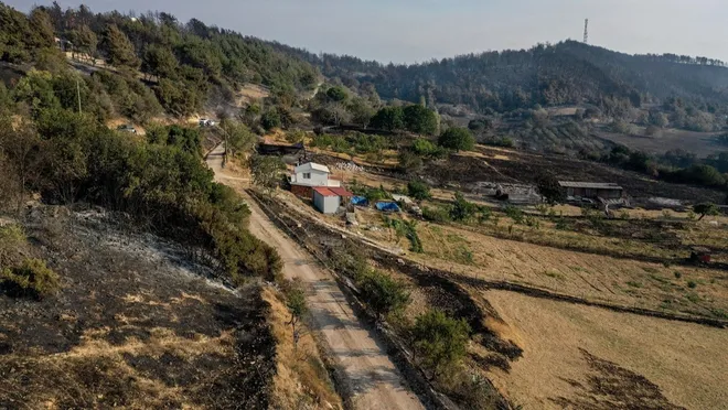 Bakan Koca: Çanakkale’deki yangından 83 kişi etkilendi