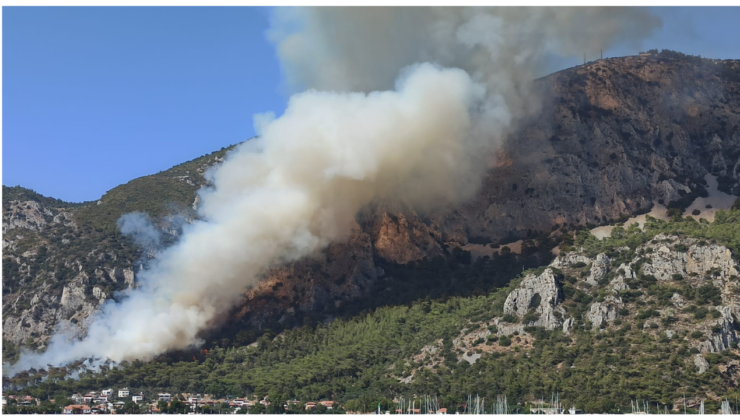 Muğla’da çıkan orman yangınına müdahale ediliyor