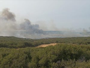 Gelibolu Yarımadası’nda makilik alanda yangın çıktı