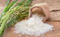 Pirinç ithalatında gümrük vergisi yüzde 45’e çıktı