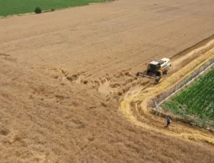 ‘Tarımda ithalat daraltılmalı, yerli ürün desteklenmeli’