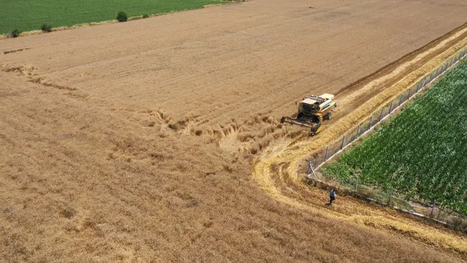 ‘Tarımda ithalat daraltılmalı, yerli ürün desteklenmeli’