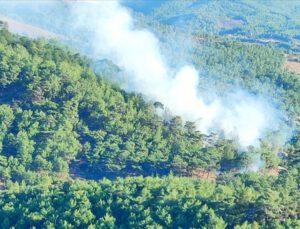 Çanakkale’de orman yangını çıktı
