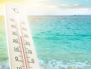 Uzmanlar uyardı: Yazın sıcaklık rekoru kırılacak