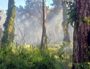 Manavgat’ta oteller bölgesine yakın noktada orman yangını