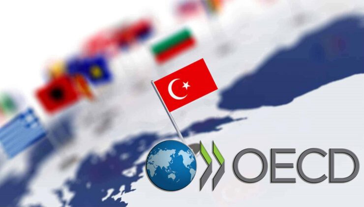 OECD’den Türkiye için enflasyon tahmini