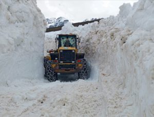 Trabzon karla mücadele ediyor