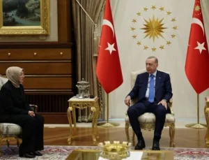 Cumhurbaşkanı Erdoğan, Ayşe Ateş’i kabul etti