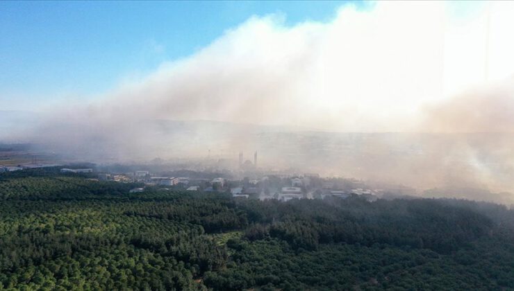 Bursa’daki yangın kampüsteki ormana sıçradı