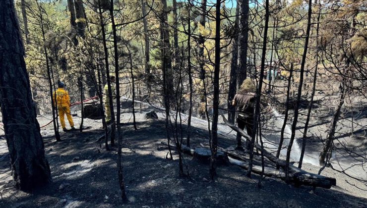 Bursa’da orman yangını kontrol altına alındı