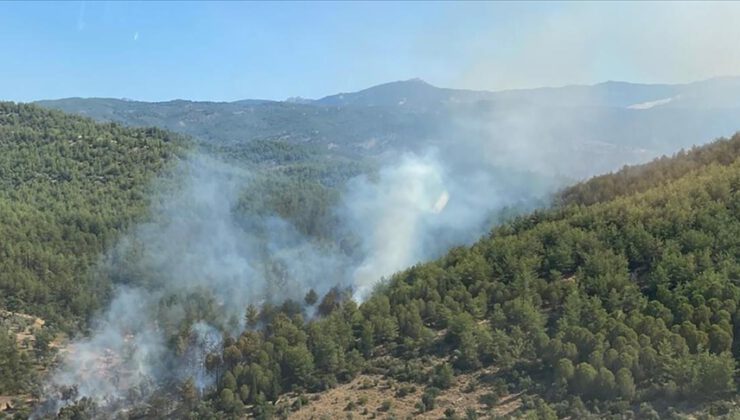 Muğla Milas’ta orman yangını