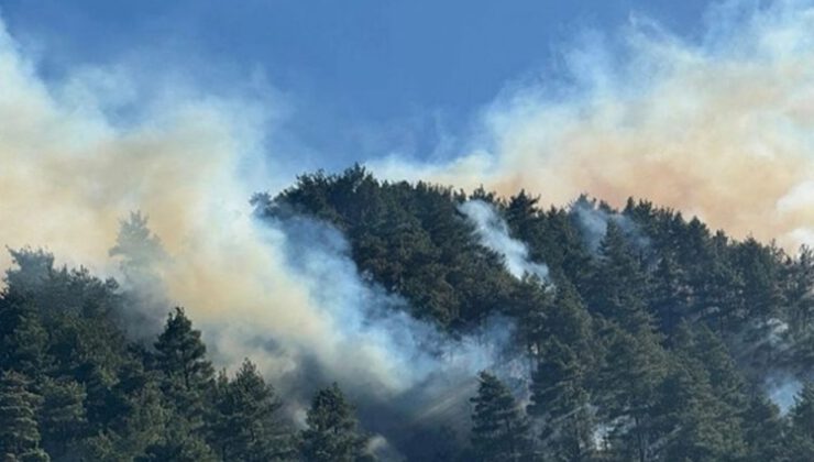 Bursa’da ormanlık alanda yangın çıktı