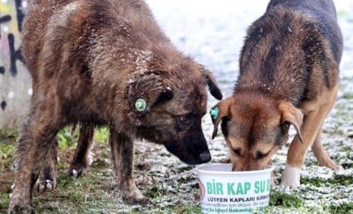 Düzenlemeye uymayan belediye görevlilerine 2 yıl hapis cezası