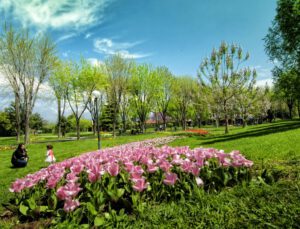 Bursa’da Botanik Parkı’nın ismi değişiyor