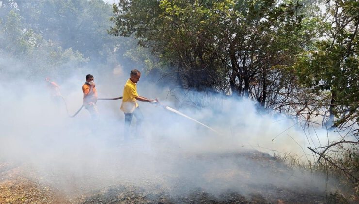 4 ilde orman yangını; İzmir yolu trafiğe kapatıldı
