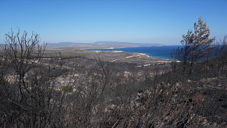 İzmir Çeşme’deki yangında 3 kişi öldü