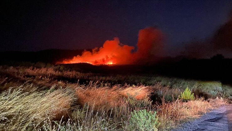 Çanakkale’de orman yangını