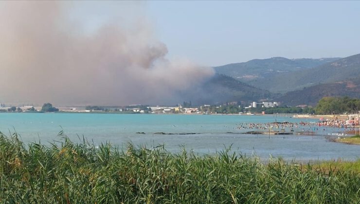 Bursa’da çıkan orman yangını kontrol altına alındı