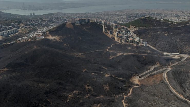 İzmir’de günler süren yangın için 6 tutuklama