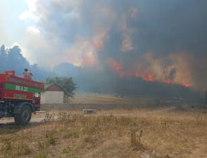 Ankara’daki yangın Bolu’ya sıçradı