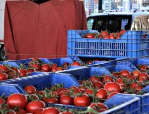 Domatesleri çöpe döken işletmeye para cezası