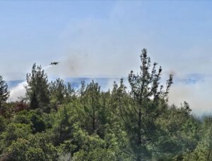 Çanakkale Eceabat’ta orman yangını