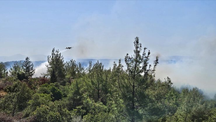 Çanakkale Eceabat’ta orman yangını