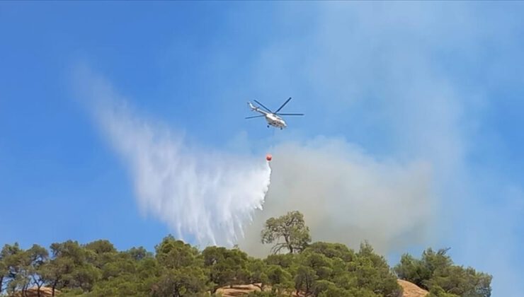 Manisa Salihli’de orman yangını