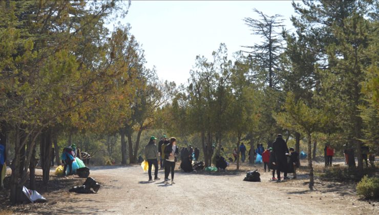 Bursa ve çevre illerde orman temizliği yapıldı