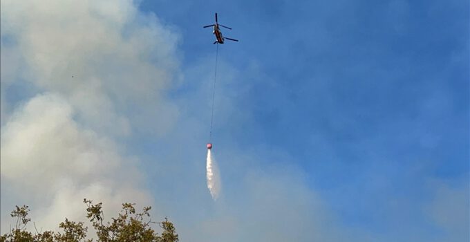 Antalya’da ormanlık alanda yangın