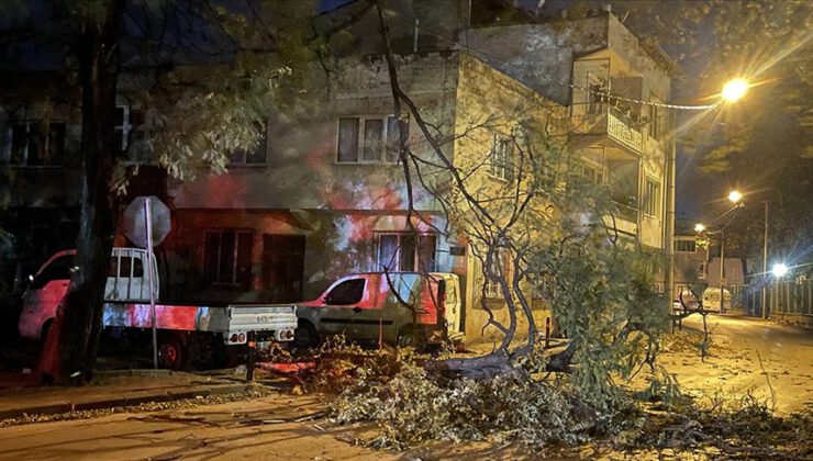 Bursa’da fırtına ağaçlar ve çöp konteynerlerini devirdi, araçlara zarar verdi