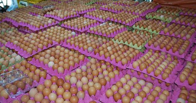 ABD’ye yumurta ihracatı hazırlığı