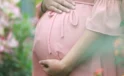 Ücretli doğum izni 1 yıla çıkarılıyor, kreş desteği geliyor