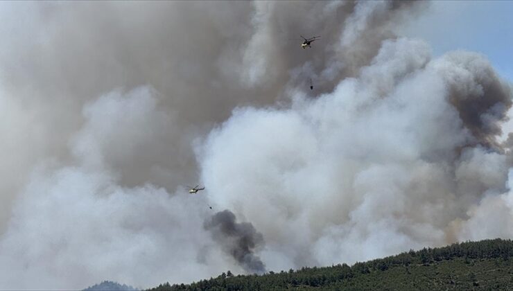 Orman yangınlarına havadan ve karadan müdahale ediliyor