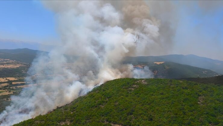 Bursa’da çıkan orman yangınına müdahale ediliyor