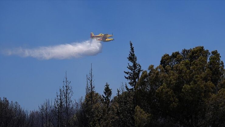 Orman yangınlarında 17 şüpheli gözaltında