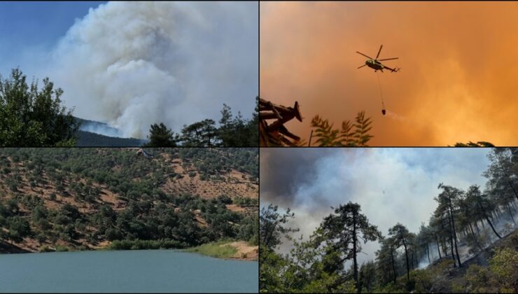 Türkiye genelinde 47 ilde ormanlara giriş yasaklandı