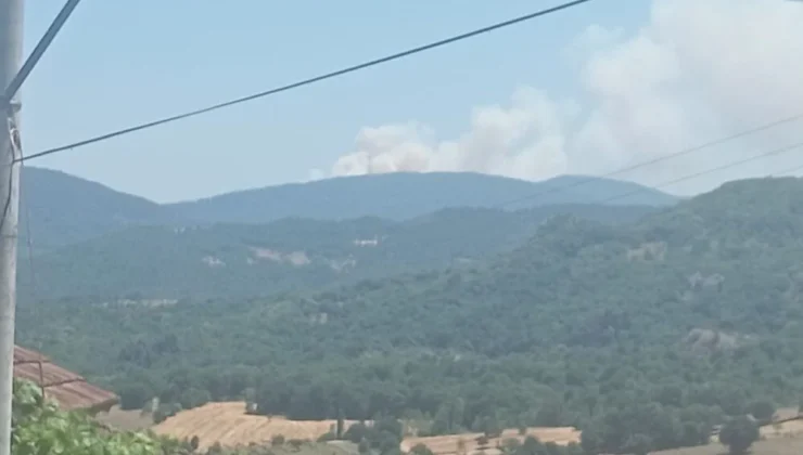 Bursa’da orman yangınları