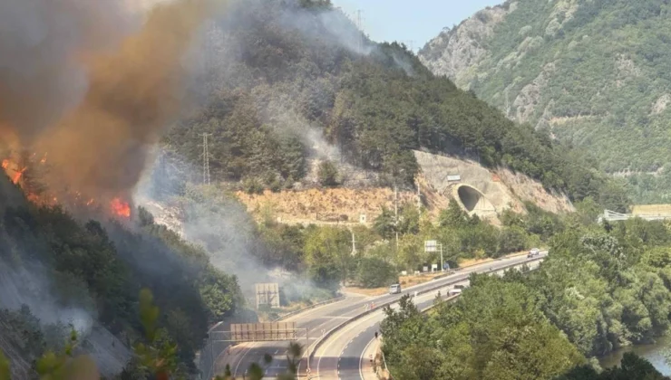 Sakarya’da orman yangını: D-650 kara yolu ulaşıma kapatıldı