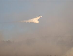 Sakarya’da orman yangını devam ediyor