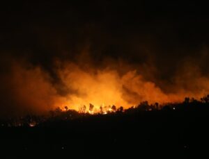 Bursa’daki yangın kontrol altına alındı