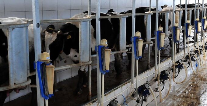 Rekabet Kurumundan süt sektöründe faaliyet gösteren sanayicilere uyarı