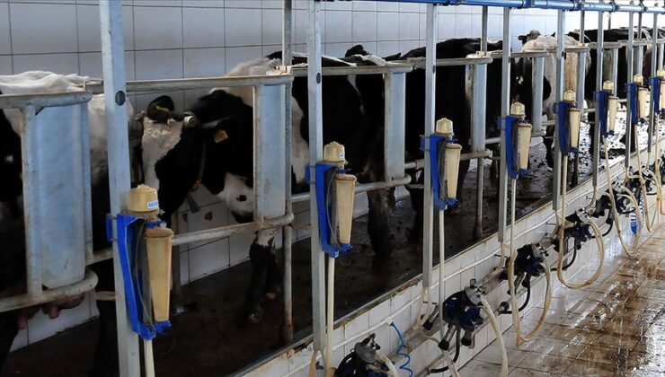 Rekabet Kurumundan süt sektöründe faaliyet gösteren sanayicilere uyarı